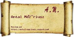 Antal Máriusz névjegykártya